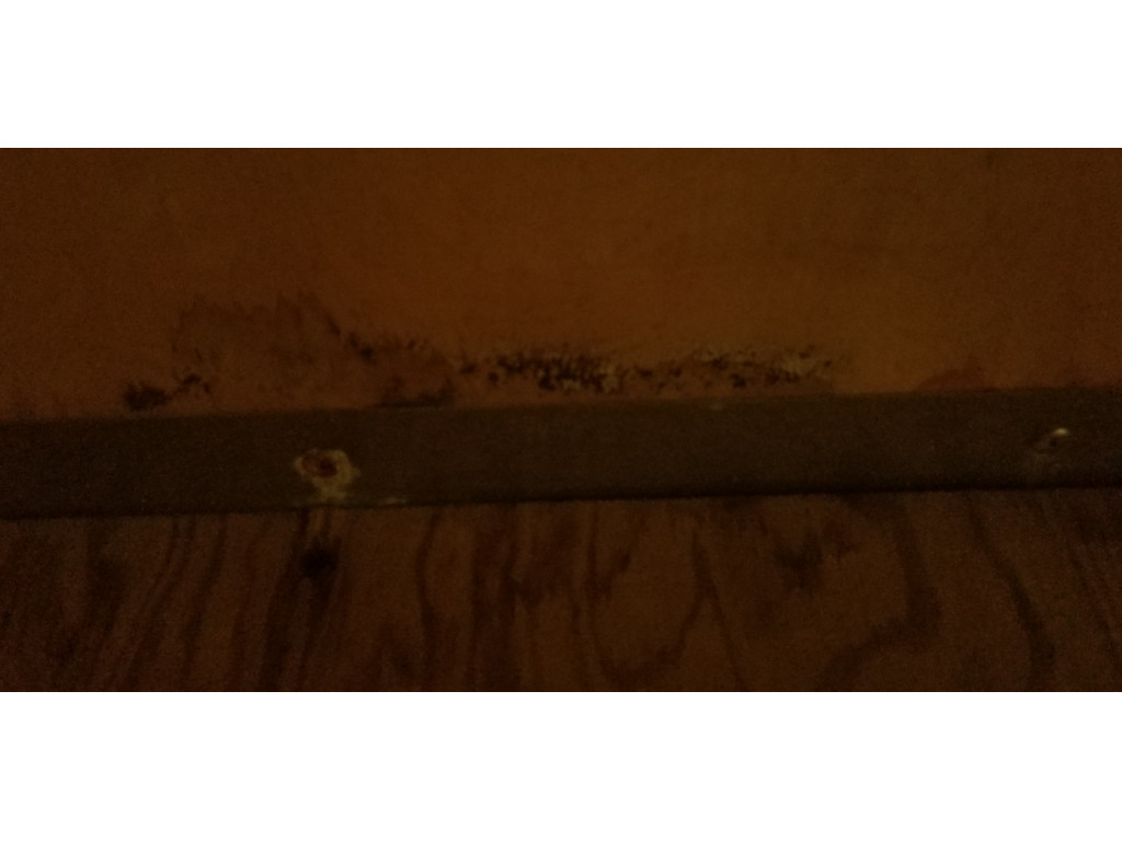 Photo by Lori Harvey of PODS Moving and Storage - Large