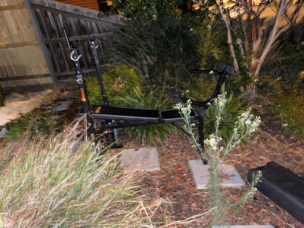 Photo by Melyssa Fraser of CBD Movers AU - Large