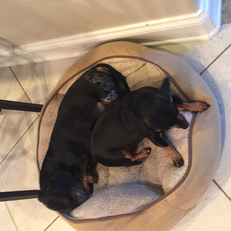 Photo by Sophia Lorent of Latitude Moving services LLC - Large