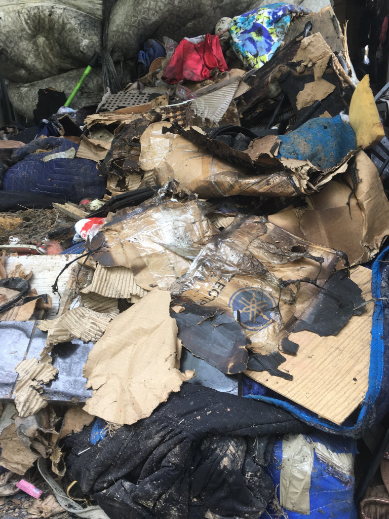 Second photo by Diana Anderson of Adam's Moving - Large