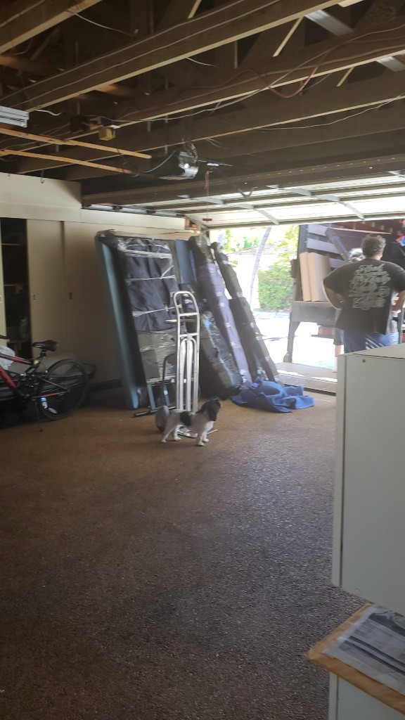 Photo by Carolina Schafer Sandi of Hawaiian Moving Pros - Large