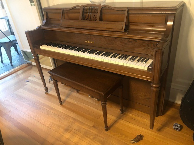 Photo by Hilda Seidman of Five Star Moving Company - Large