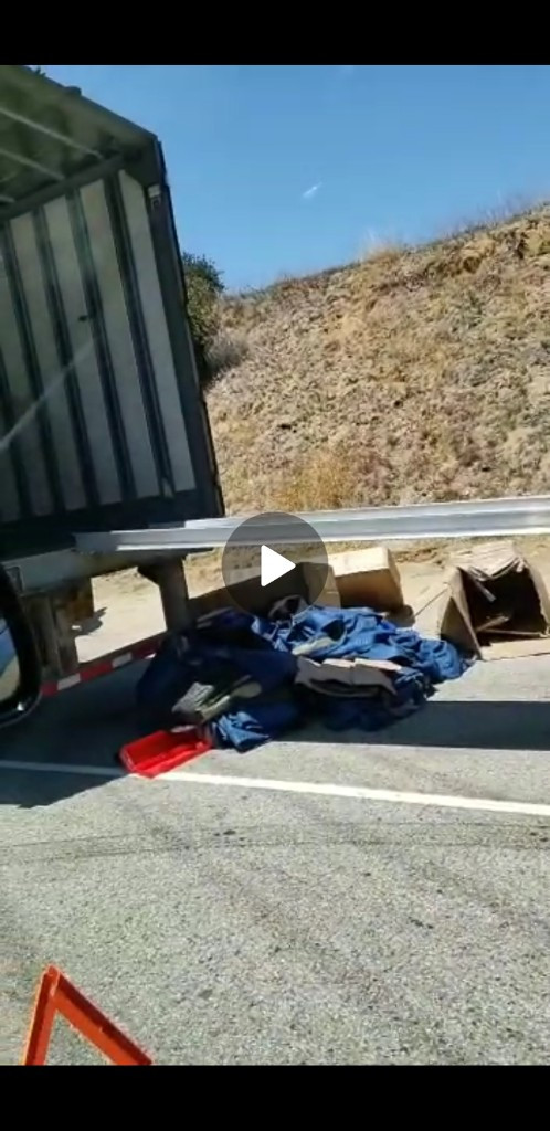 Photo by Mendy Mentz of Dumbo Moving and Storage - Large