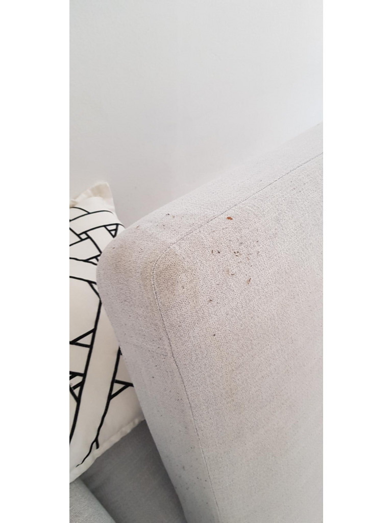 Photo by Sarah Evans of Rham Transport - Large