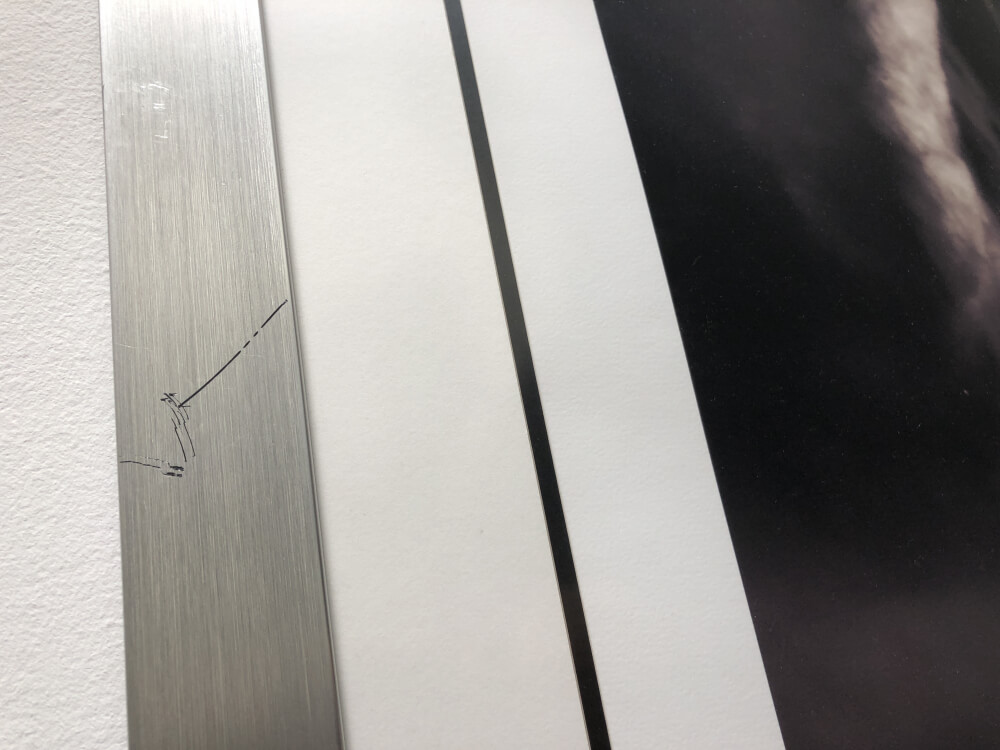 Photo by Francisco Irala of Fuentes Moving - Large