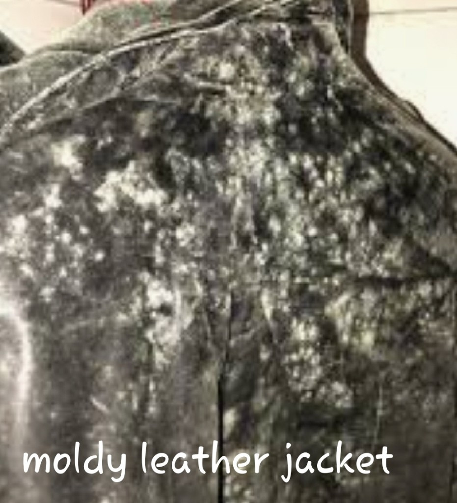 Photo by April Baehr of Triple Crown Moving & Storage - Large