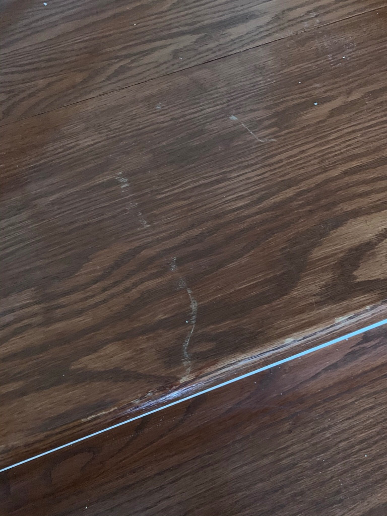 Second photo by Michelle Musielak of American Standard Moving & Storage - Large