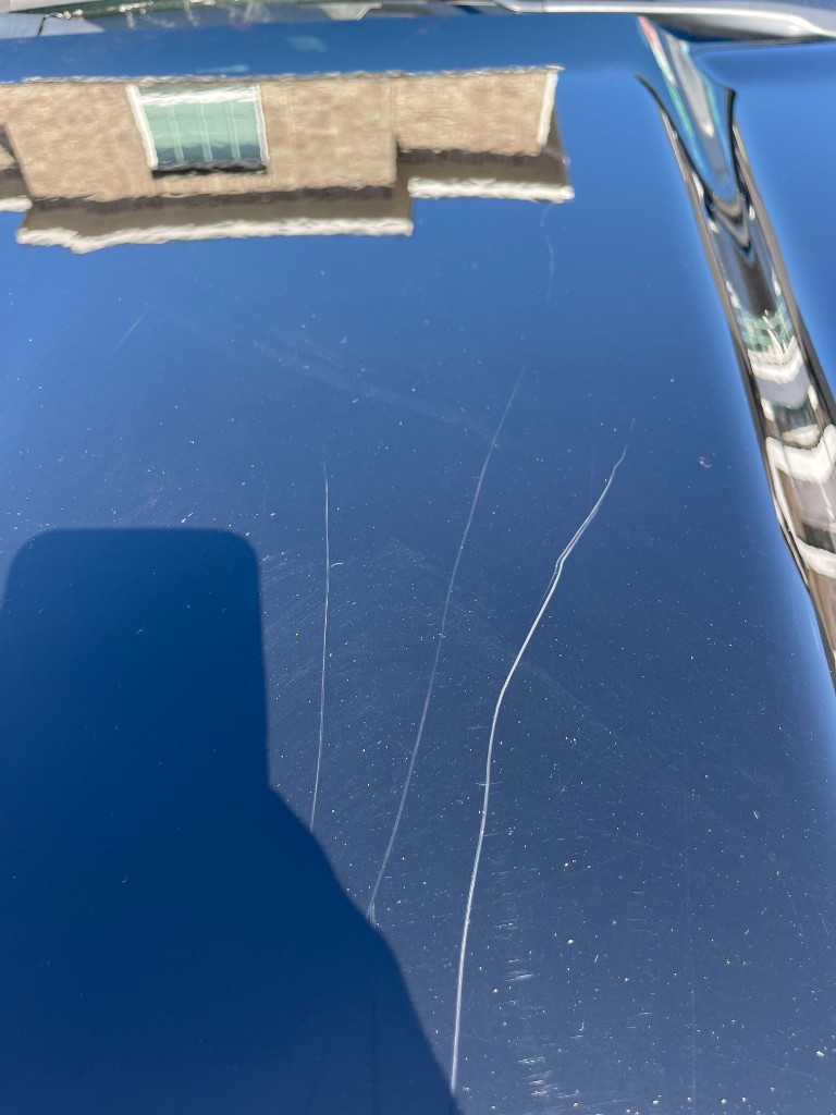 Photo by Anthony Mazzanti of Neptune Auto Transport LLC - Large