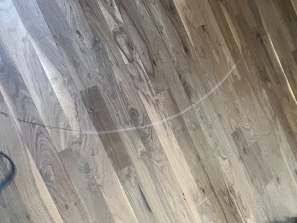 Photo by Christina Douglas of All My Sons Moving and Storage - Large