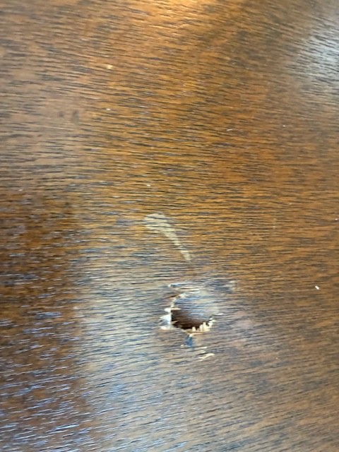 Photo by Lori Cossack of ESEA Van Lines Inc - Large