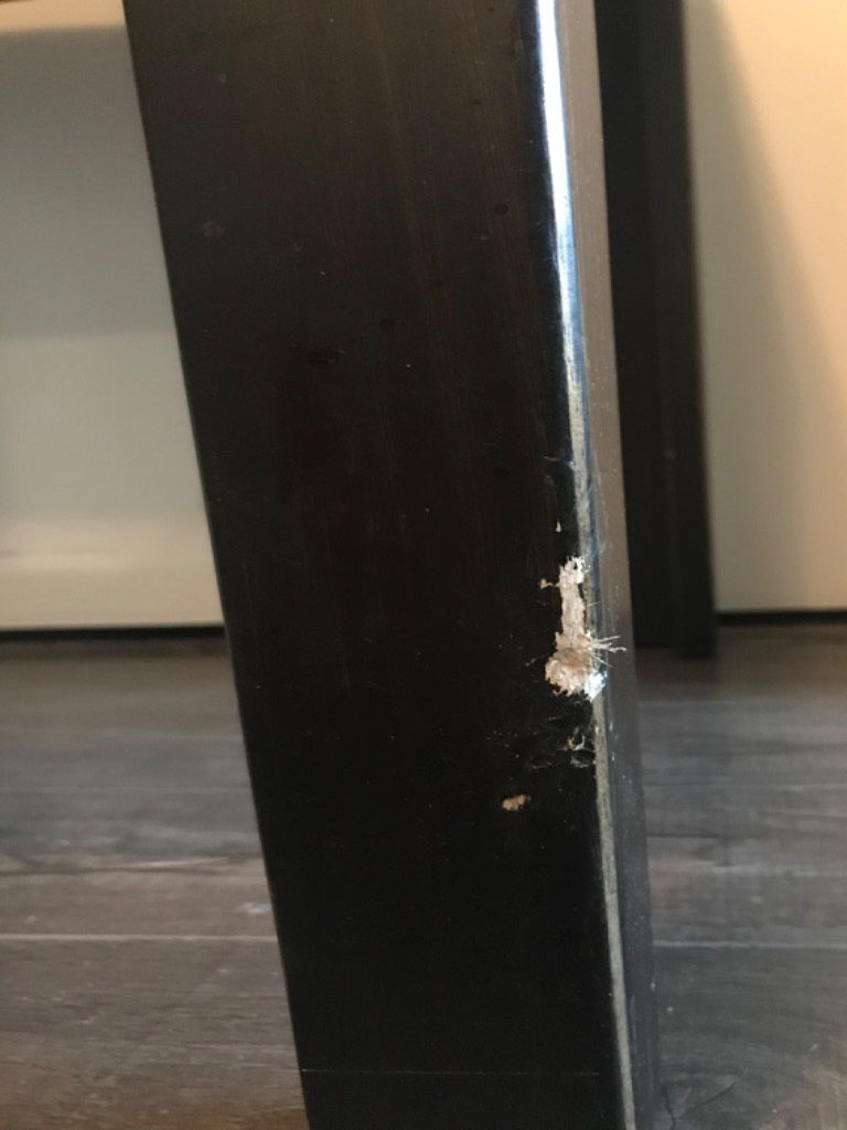 Second photo by Julia Bly of Canadian Moving Systems - Large