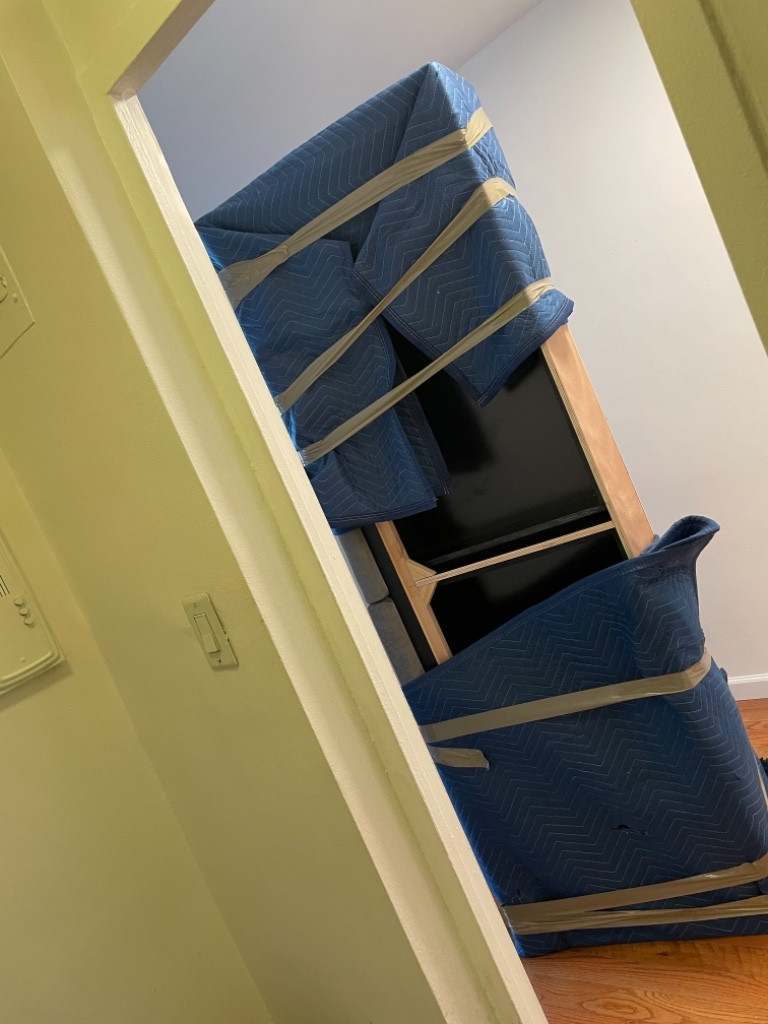 Photo by Fiona Caplan of Dumbo Moving and Storage - Large