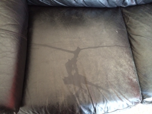 Photo by Carin of Silverback Moving - Large