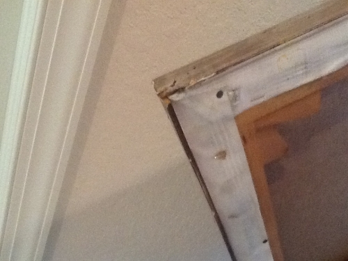 Second photo by Susan Kaufman of iMove Green - Large