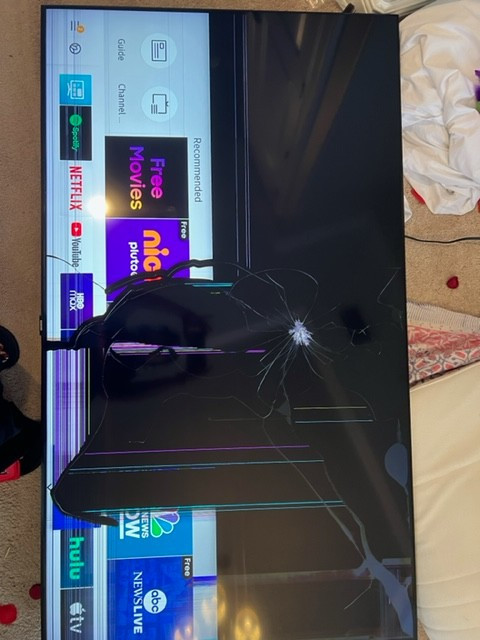 Photo by Richa Purohit of City Moving Group LLC - Large