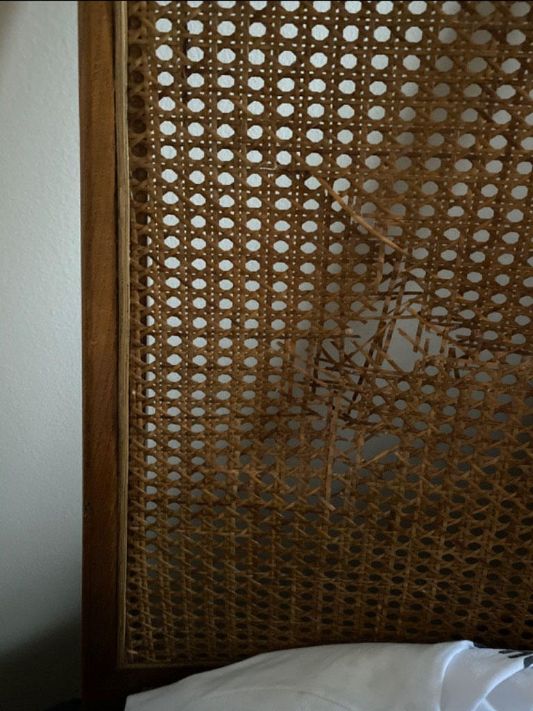 Photo by Laura Cella of Don Farr Moving & Storage - Large