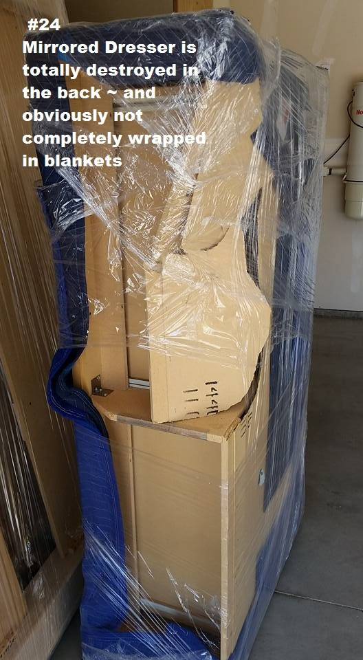 Photo by Edie Walker of Revolution Moving Systems - Large