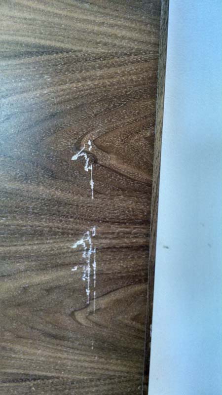 Photo by Iowa of Bekins Van Lines - Large