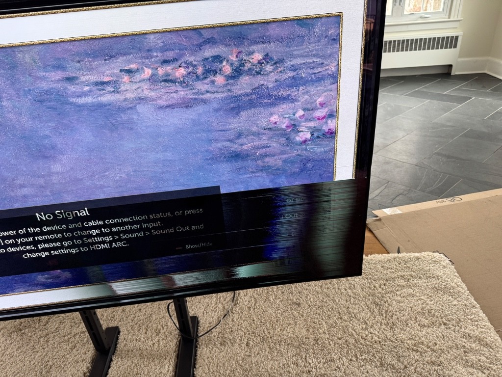 Second photo by Nick Steele of Jackson Movers - Large