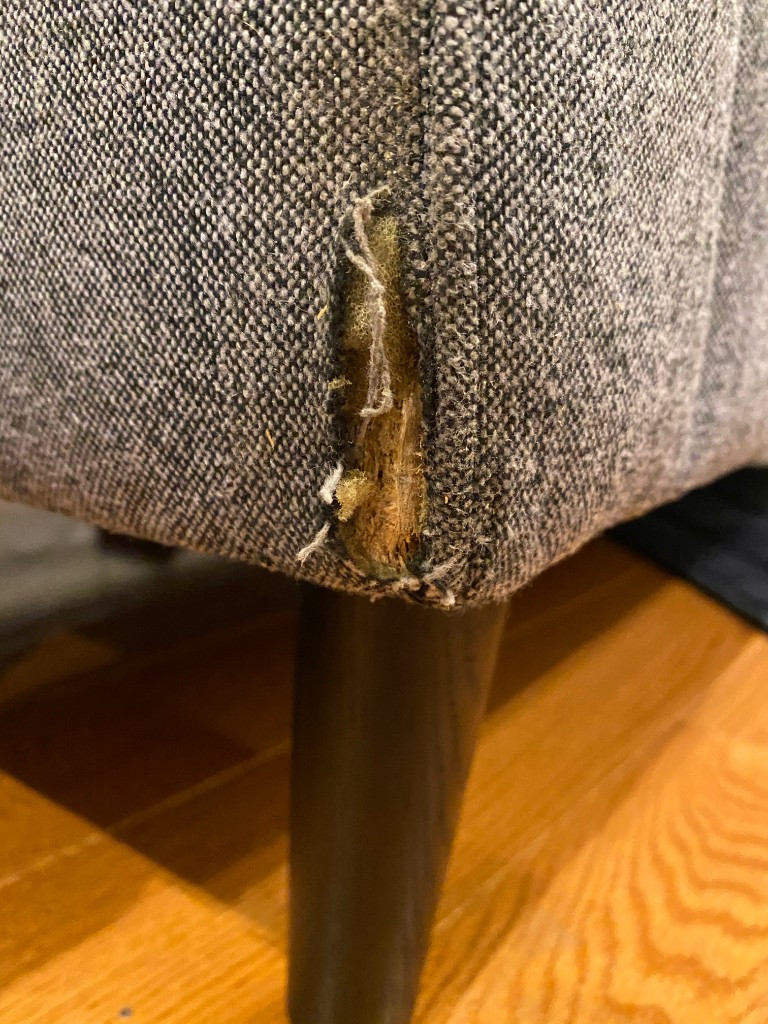 Photo by Graziano Misuraca of All Coast Moving Group LLC - Large