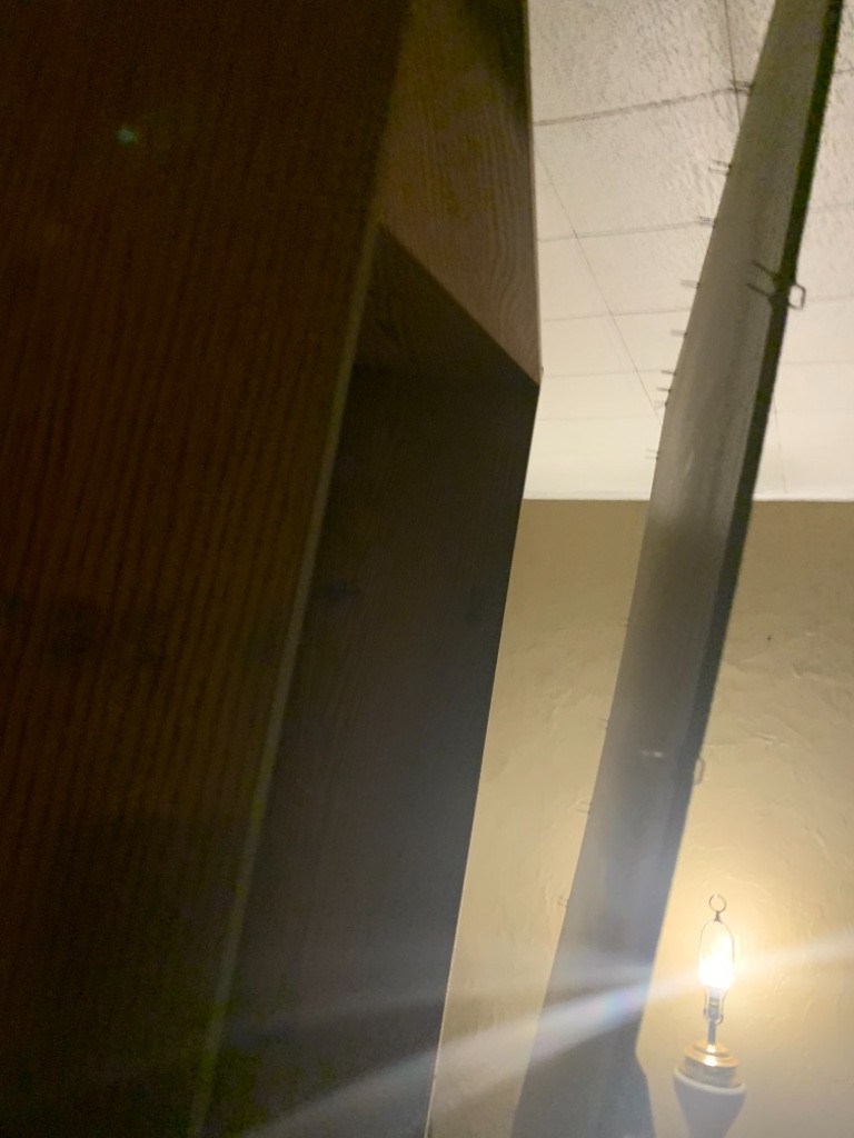 Photo by Michelle Bevins of Express Vanline - Large