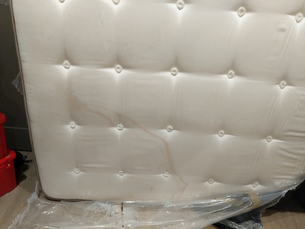 Second photo by Jordan Budisantoso of American Roadway Vanlines Inc. - Large