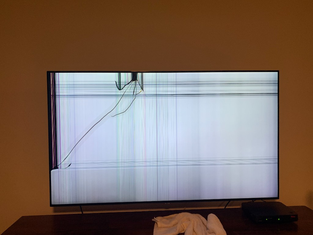 Photo by Shad Reynolds of Green Planet Movers - Large