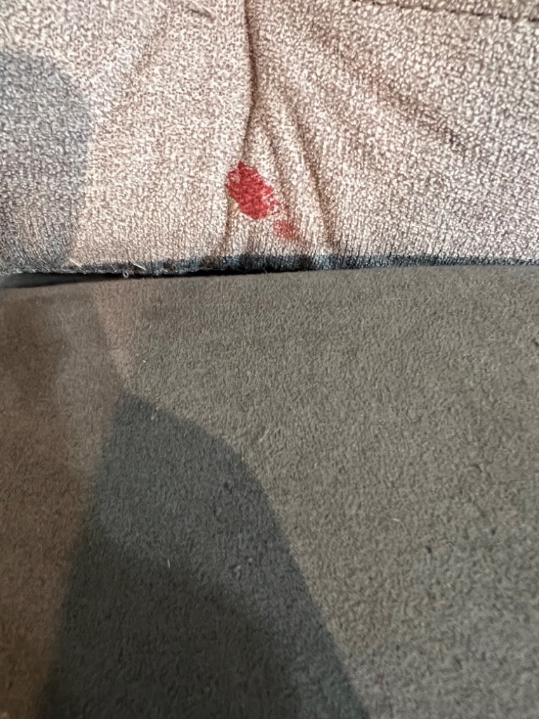 Second photo by Samantha Neesley of American Choice Van Lines - Large