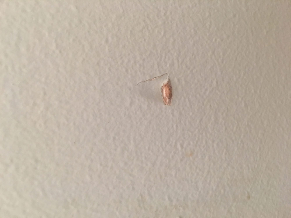 Second photo by Alexandra of You Move Me - Large