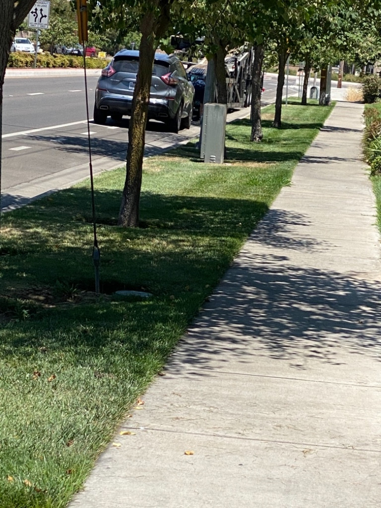 Photo by Suzanne Meador Dixon of Sonic auto transport - Large