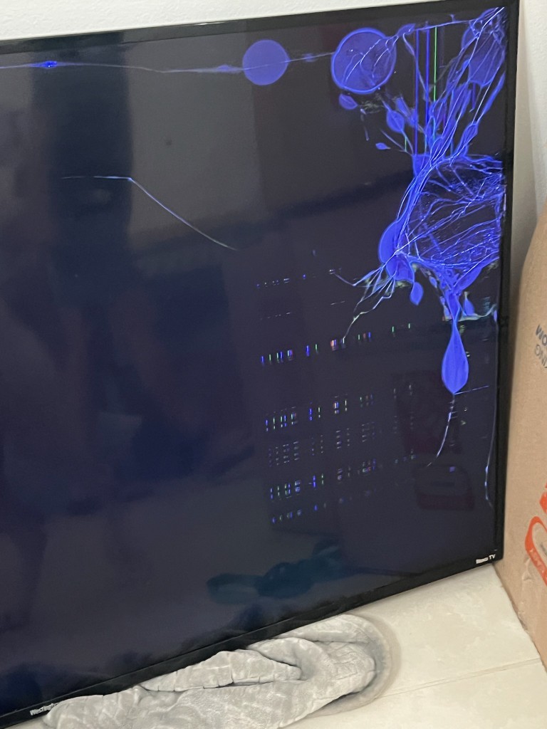 Photo by David Caruso of JoChas Moving & Delivery - Large