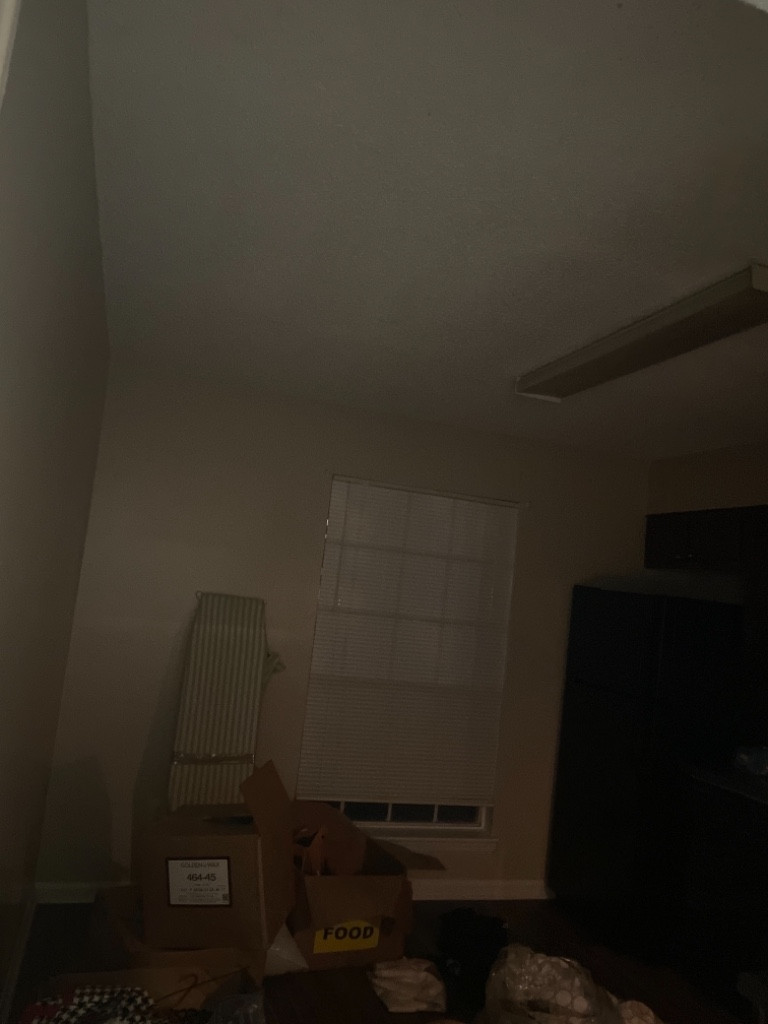 Second photo by Chrissy Manuel of MJC Movers LLC - Large