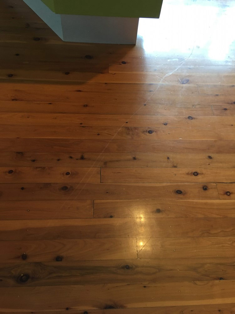 Second photo by Chris Lynch of Ready Movers - Large