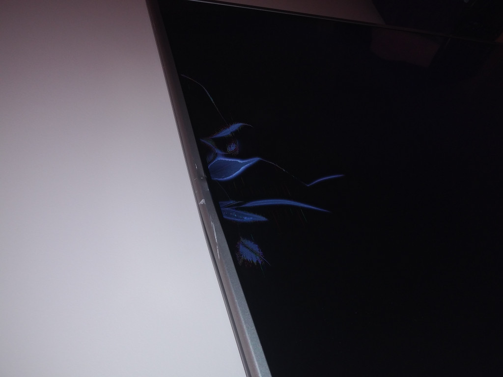 Photo by Laura of Mackie Moving Systems - Large