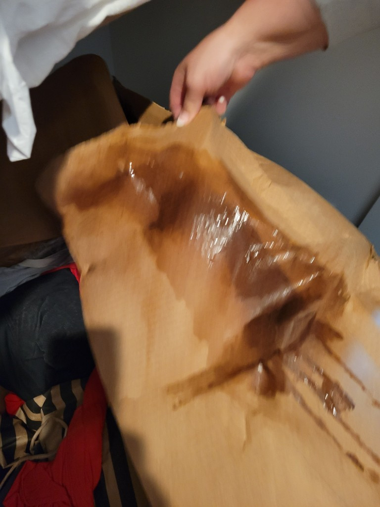 Photo by Laura Hochwalt of Gold Standard Moving and Storage LLC - Large