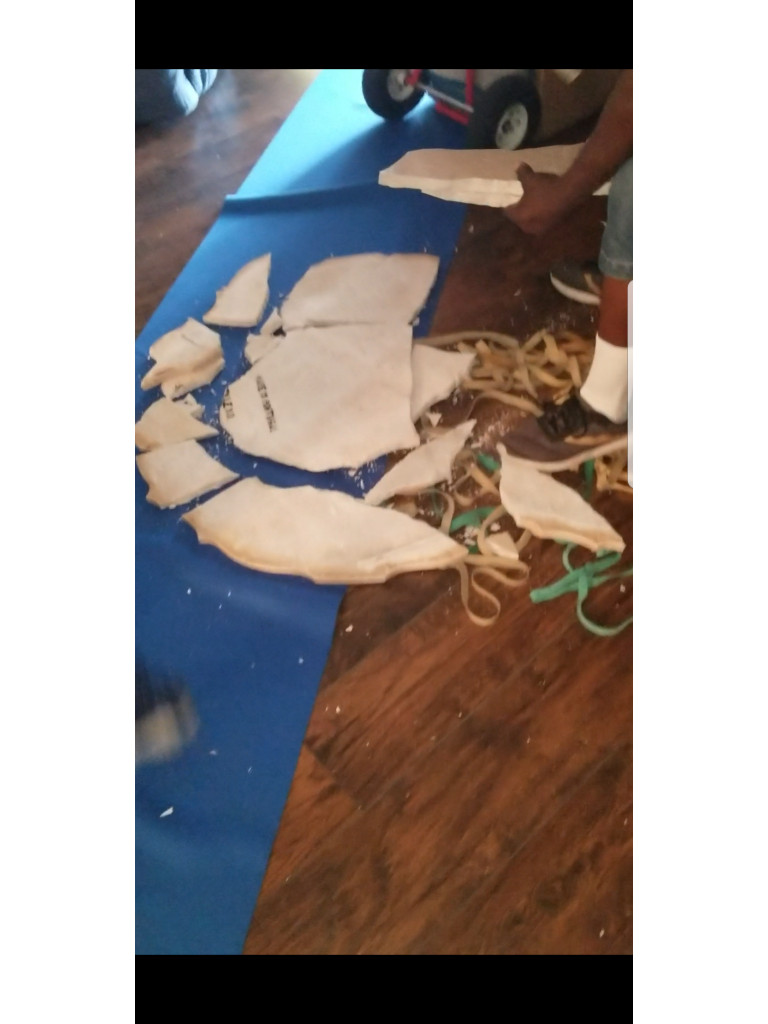 Photo by Shay Ed of Carlyle Van Lines - Large