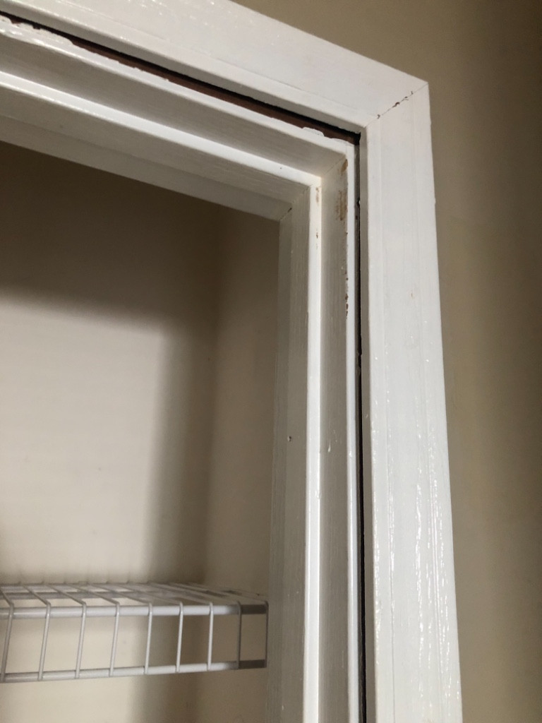 Photo by Sara Thompson of Rent A Vet Movers - Large