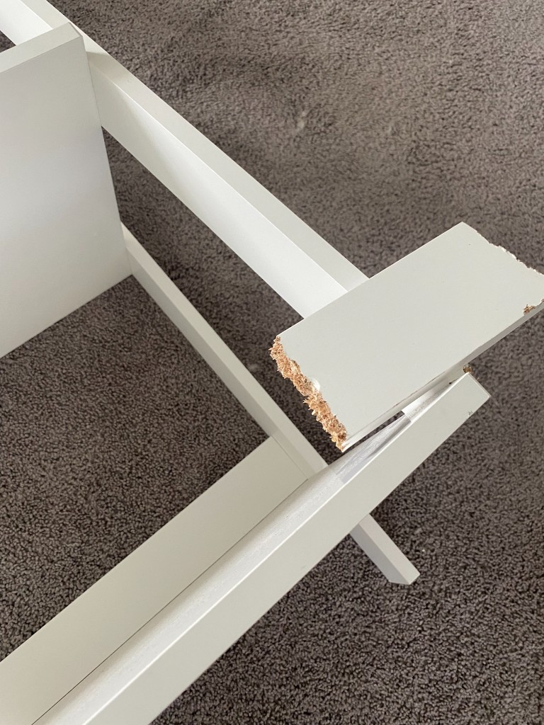 Second photo by Shannon Messina of Alltrust Movers - Large