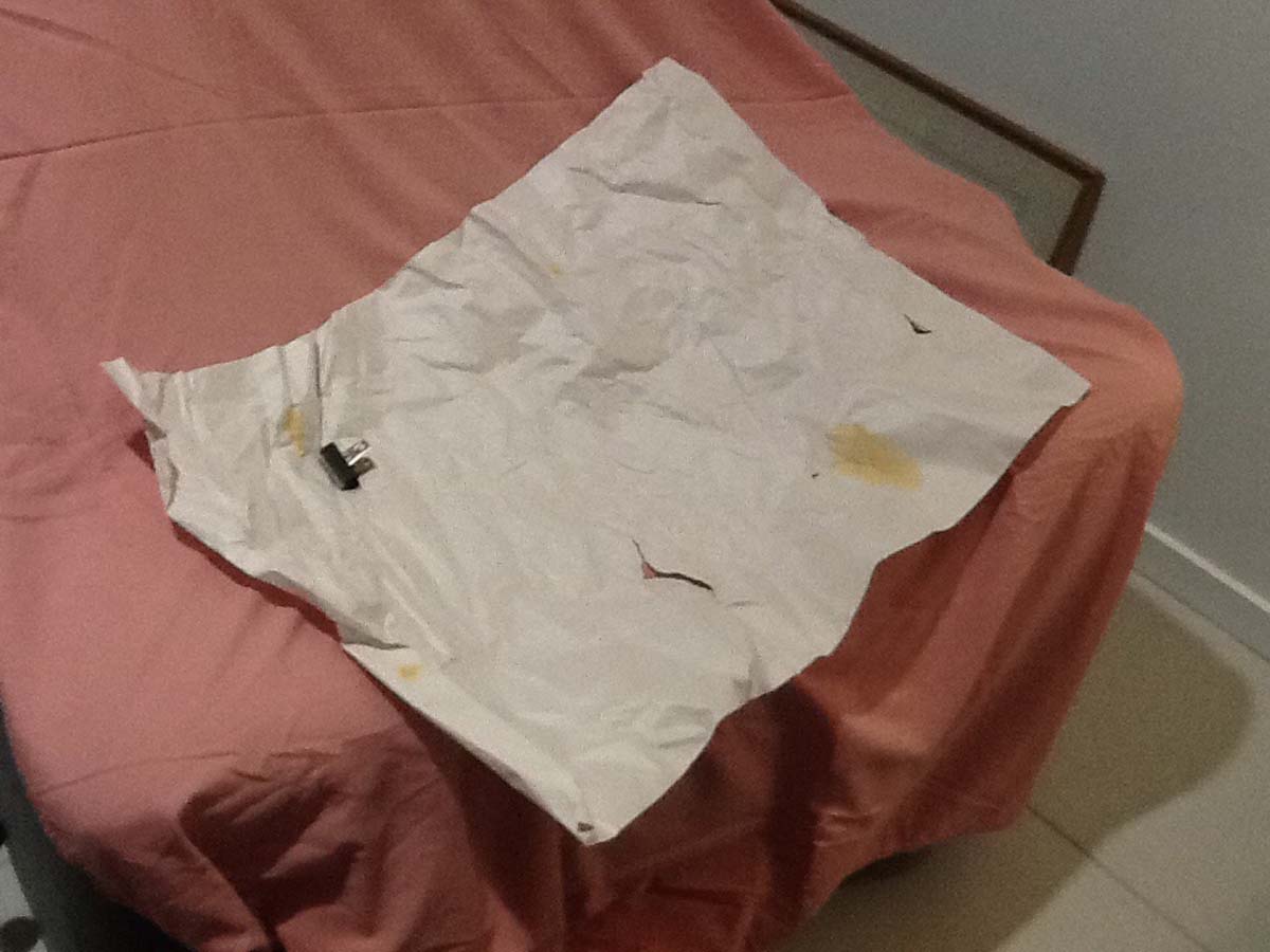 Second photo by Caryll Beck of Pickfords - Large