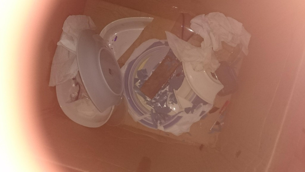 Second photo by Sanaa Malaka of Integrated Moving Solutions, INC - Large