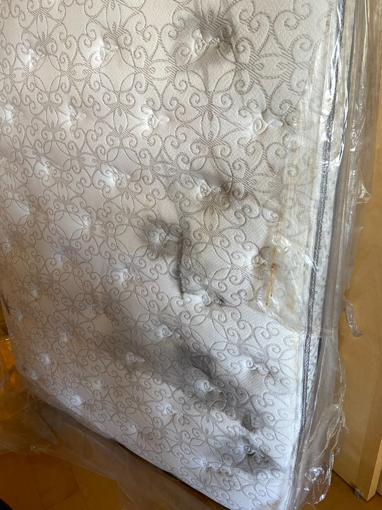 Second photo by Deborah F Maher of All Mighty Relocation LLC - Large