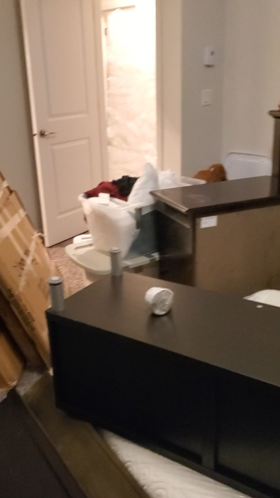 Second photo by Zanaida Conrad of Compass Van Lines - Large