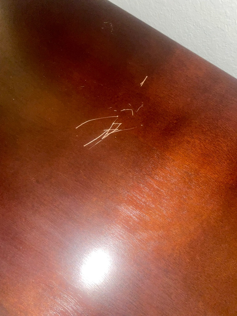 Photo by Billie Garcia of East Coast Moving & Storage Florida - Large