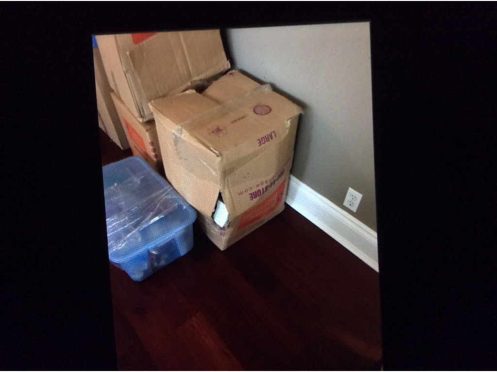 Second photo by Robert Florida of All American Moving and Storage Inc - Large