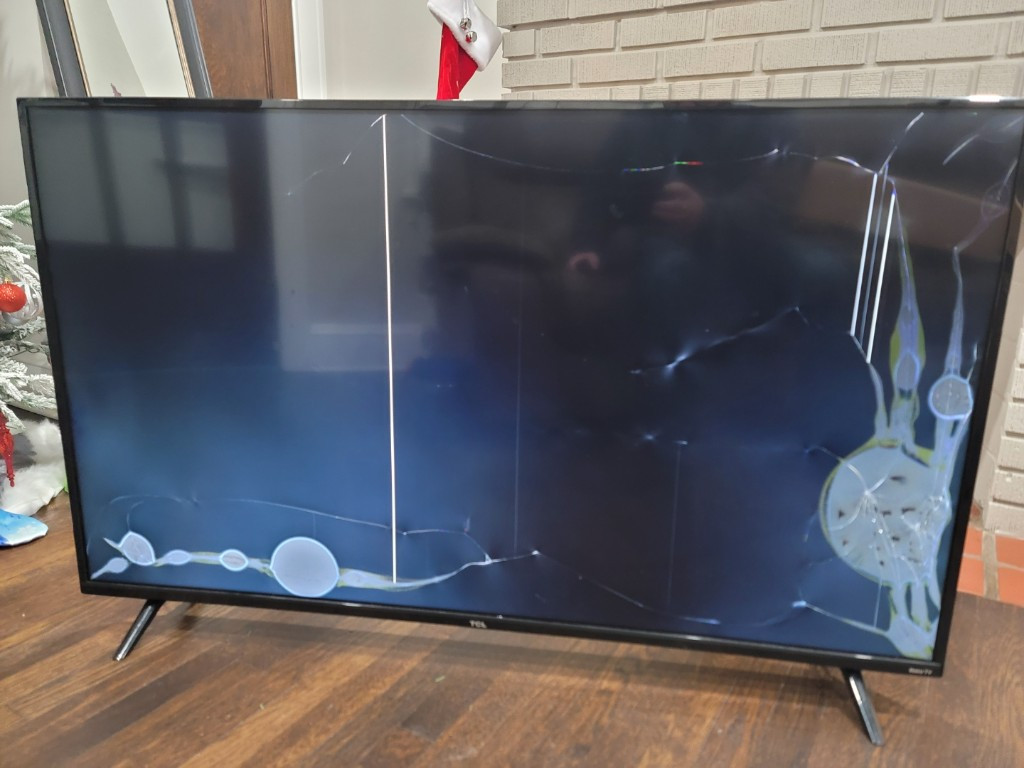 Photo by Chevi Rader of Hercules Moving Solutions Inc - Large