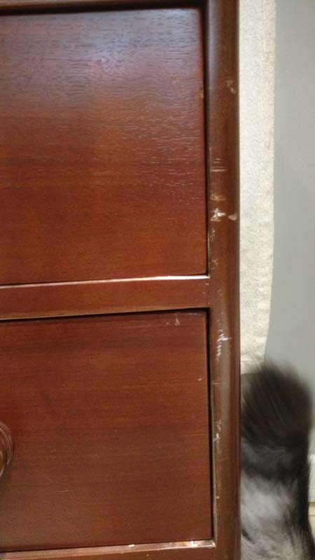 Second photo by Lulu of Armour Van Lines - Large