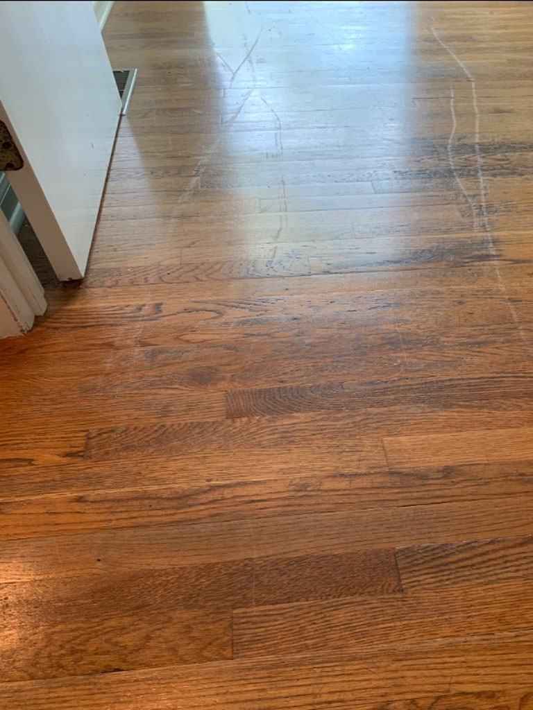 Photo by William Moore of All My Sons Moving and Storage - Large