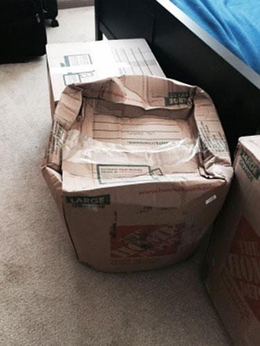 Photo by Linda of United Moving Services Inc. - Large