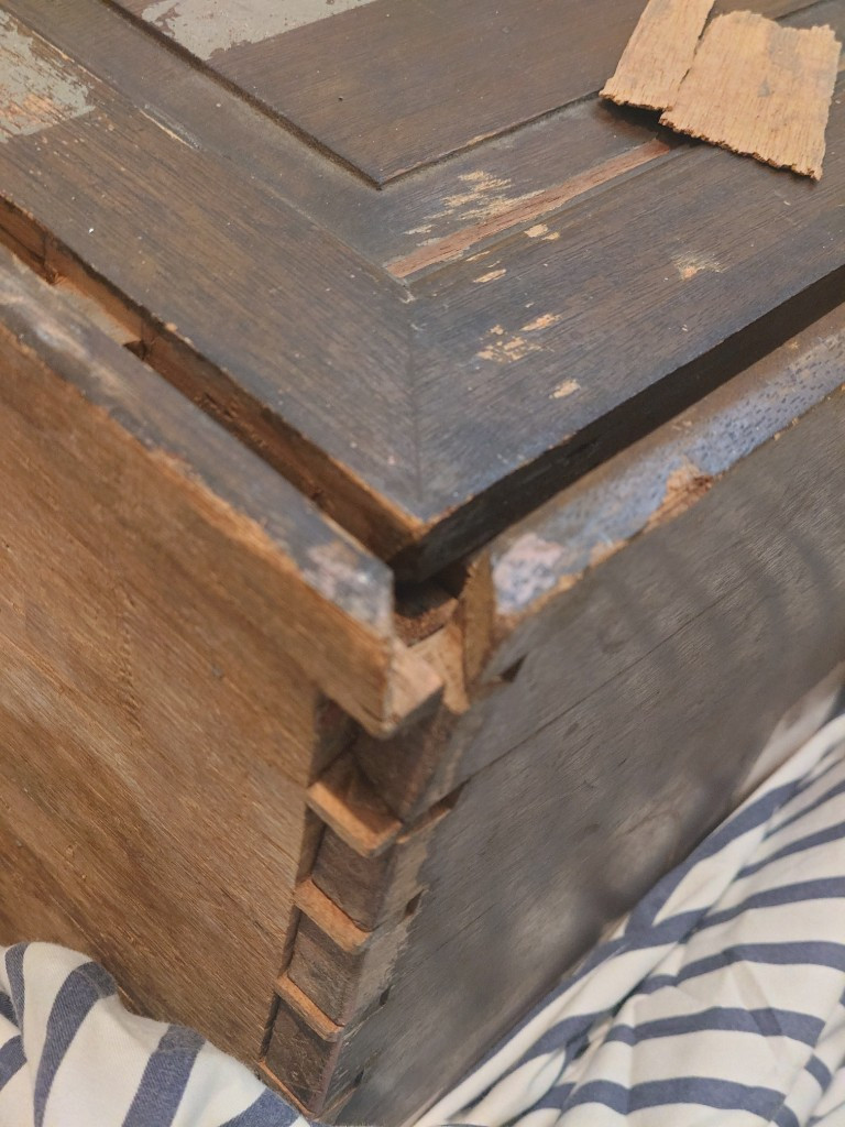 Photo by Don Wo of Seven Seas Worldwide - Large