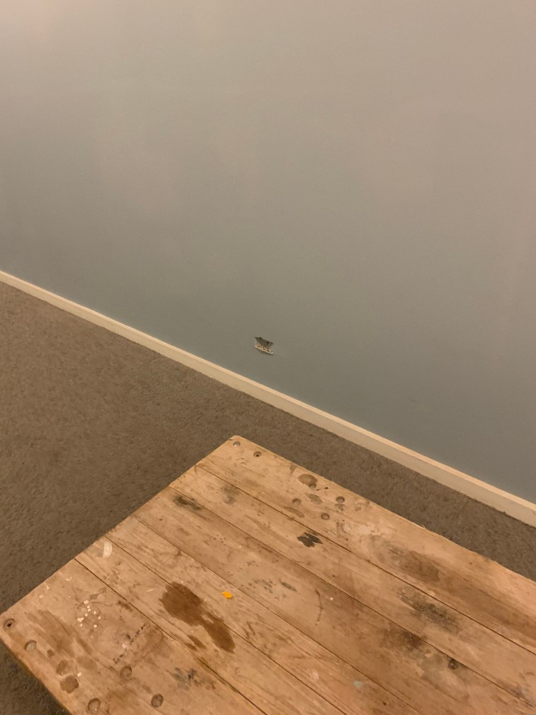 Photo by Steph Suh of MWAV PH LLC - Large